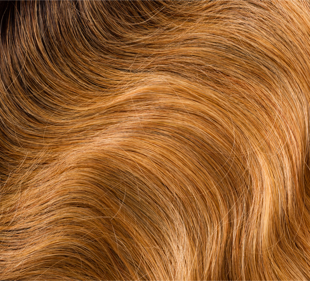 Indian Loose Wave 5x5 HD Lace Closures