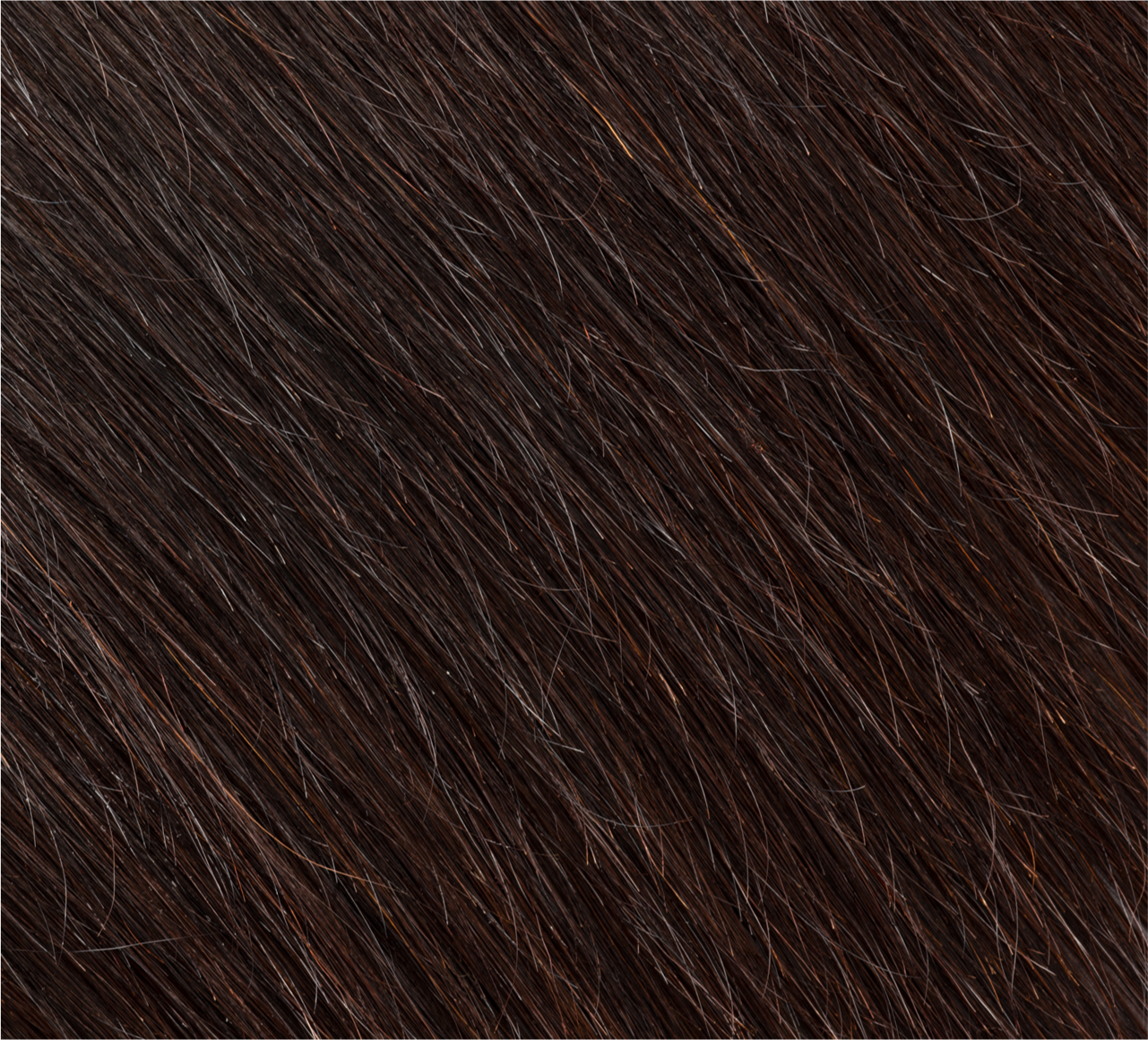 HD Lace Brazilian Straight 5x5 Closure Wig